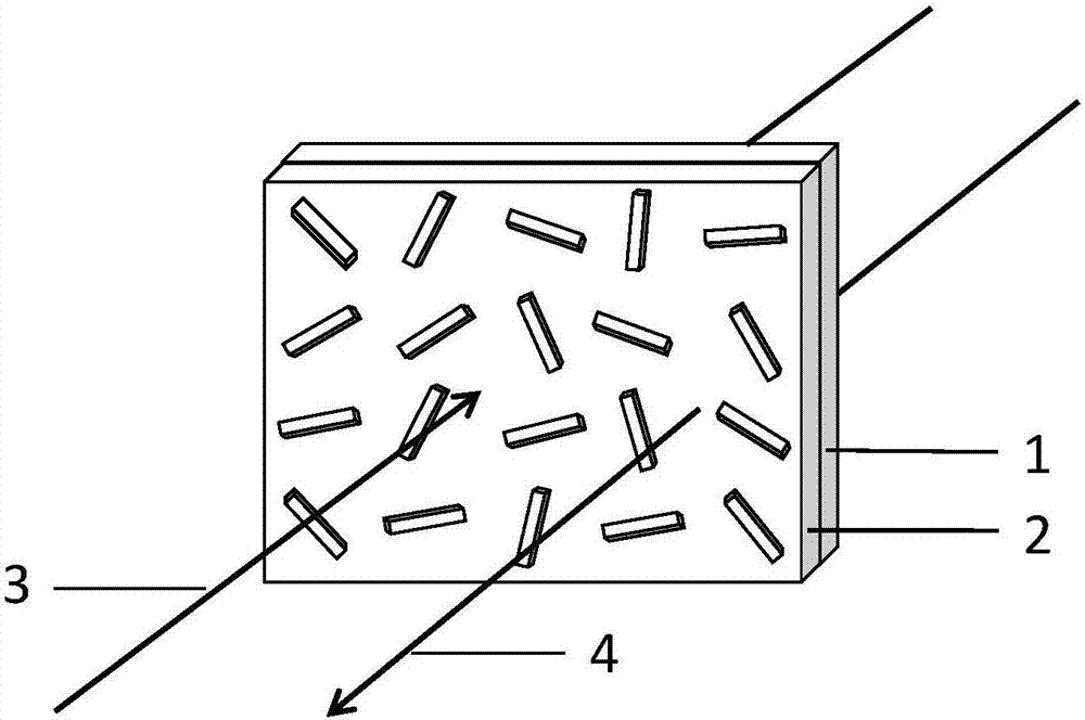 Coherent and tunable optical holography