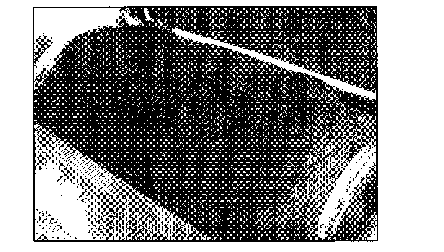 Method and device for preparing carbon nanotube film