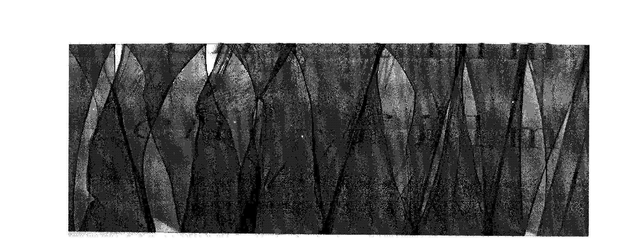 Method and device for preparing carbon nanotube film