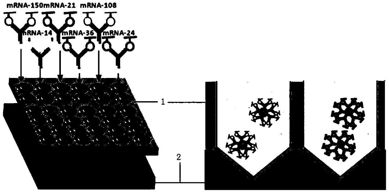 Kit and detection method based on ultrasensitive detection device of peripheral blood free nucleotide miRNAs