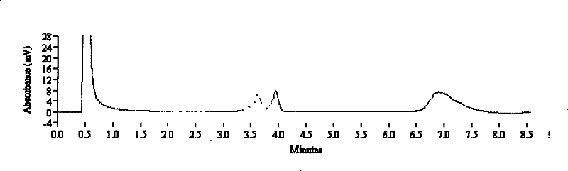 Detection kit and detection method for brucellae in meat products