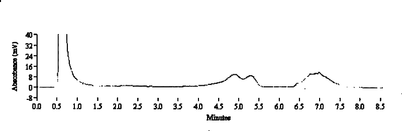 Detection kit and detection method for brucellae in meat products