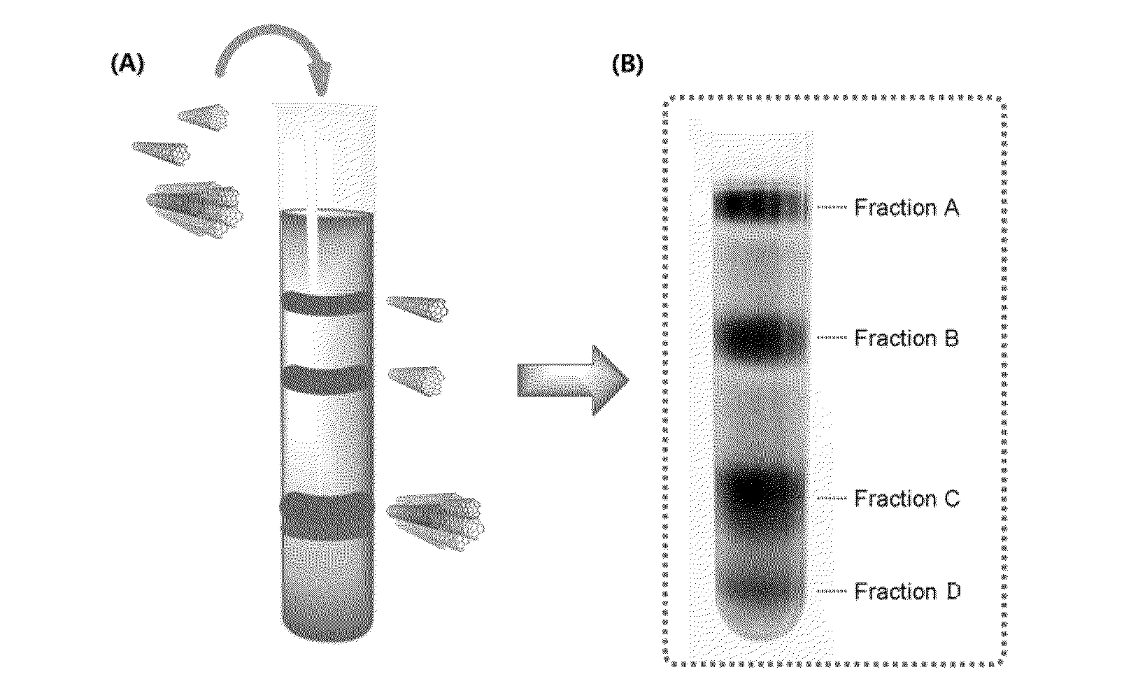 Method for treating single wall carbon nanotube