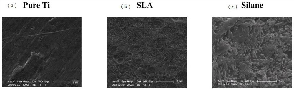 Chemical modification method for surface of dental implant combined with alveolar bone and application