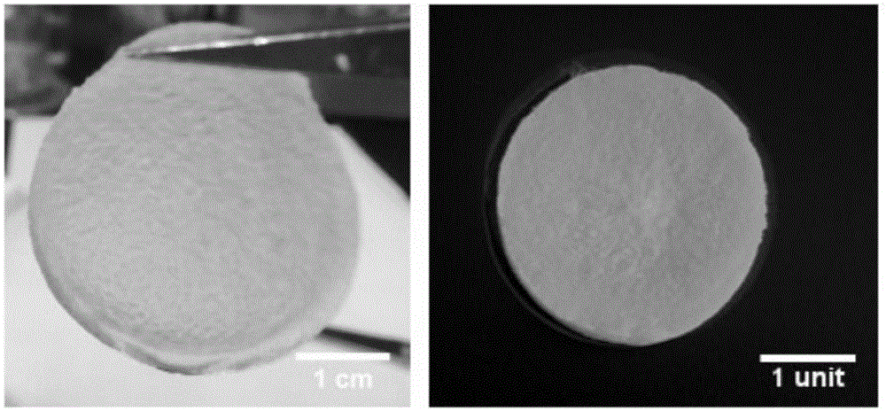 Gel biological material having shape memory function and preparation method of gel biological material