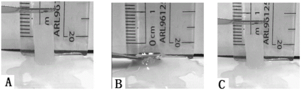 Gel biological material having shape memory function and preparation method of gel biological material