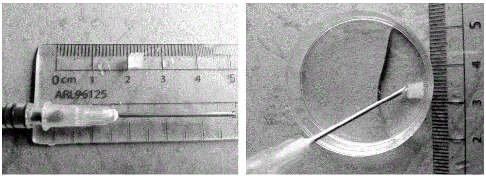 Gel biological material having shape memory function and preparation method of gel biological material