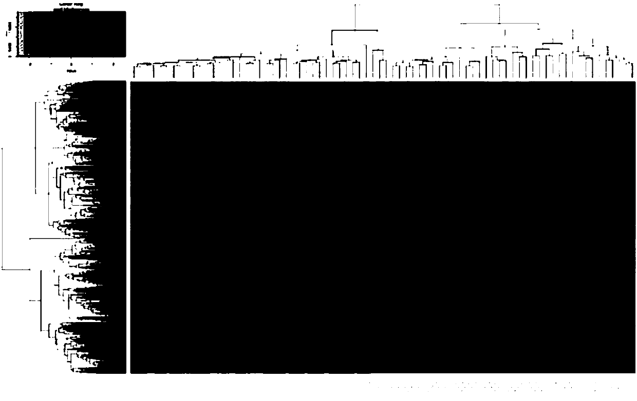 Identification of esophageal cancer related characteristic pathways and construction method of early diagnosis model