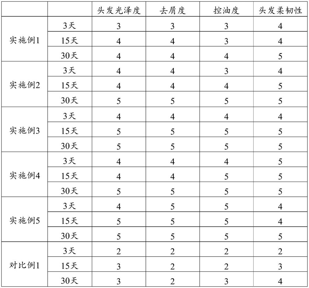 Hair care composition as well as preparation method and application thereof