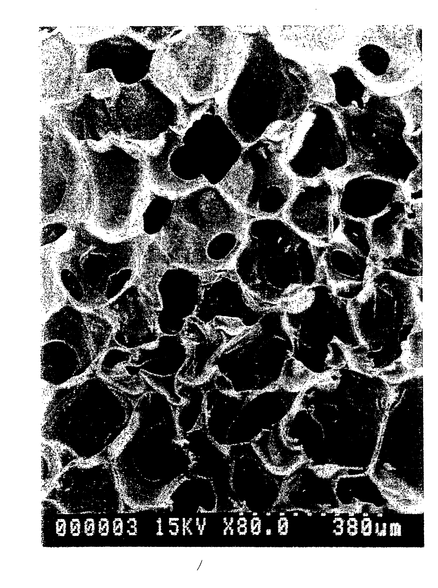 Tissue engineering scaffold