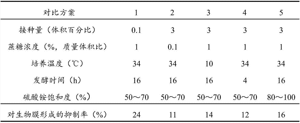 Fermented crude extract of streptococcus salivarius, and preparation method and application thereof