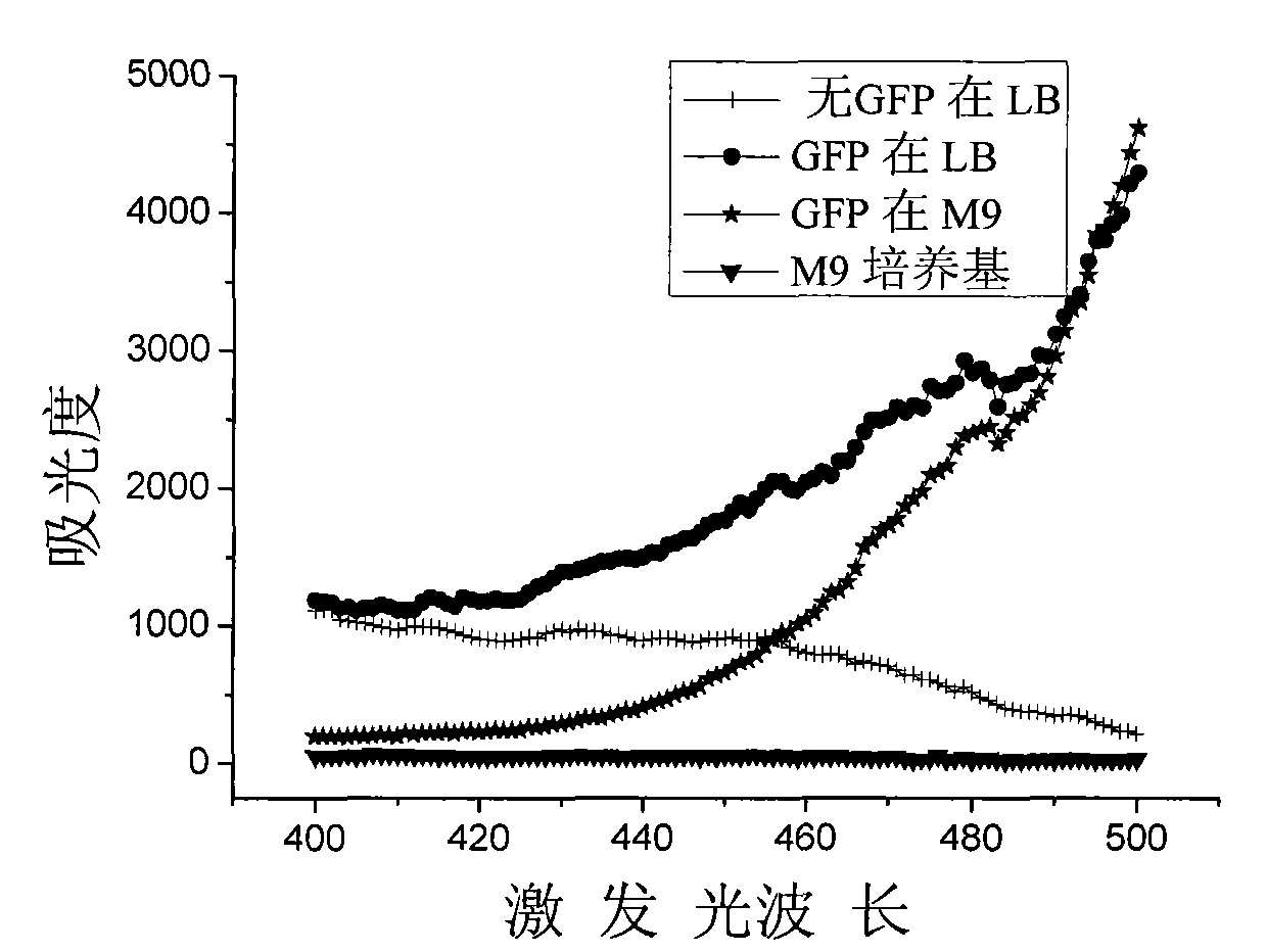 Detection method of toxicity of nanomaterials