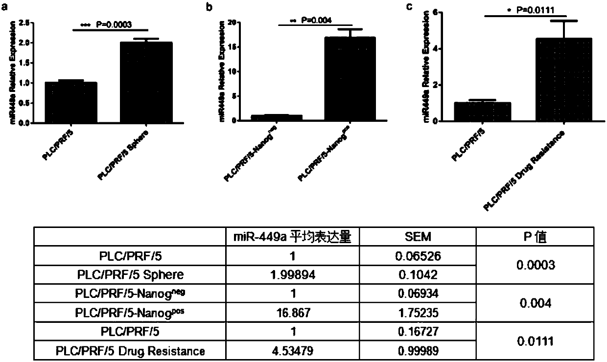 Reagent for interfering with expression of Hsa-miR-449a and application of reagent