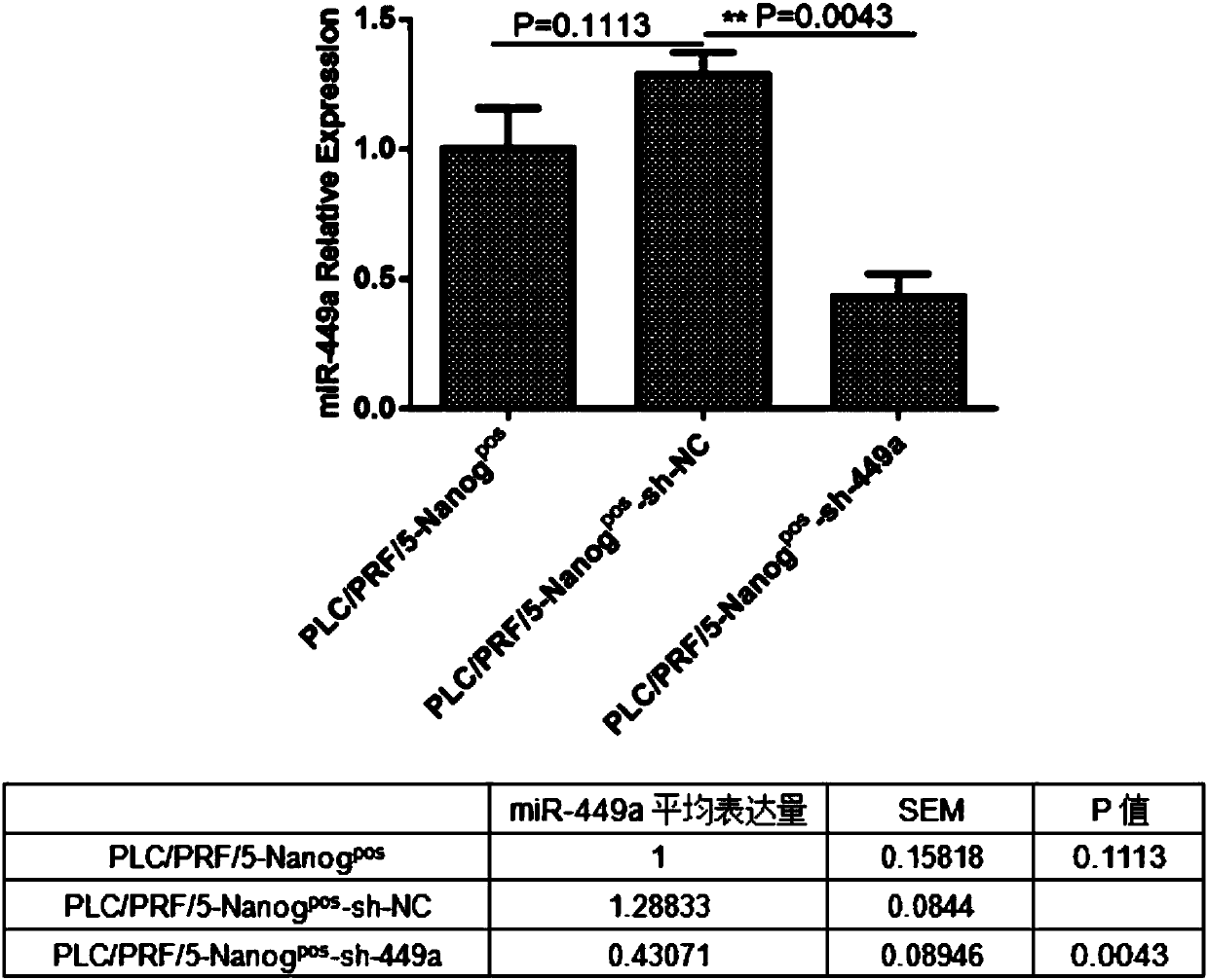 Reagent for interfering with expression of Hsa-miR-449a and application of reagent