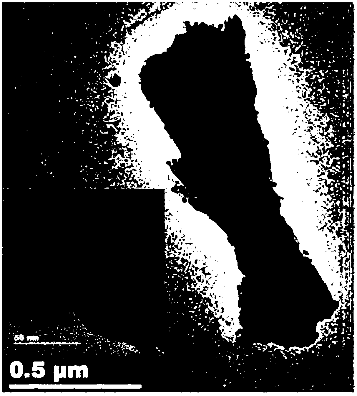 Method for embedding precious metal nanoparticles into rare earth doped luminescent material