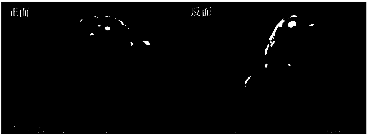 Method for embedding precious metal nanoparticles into rare earth doped luminescent material