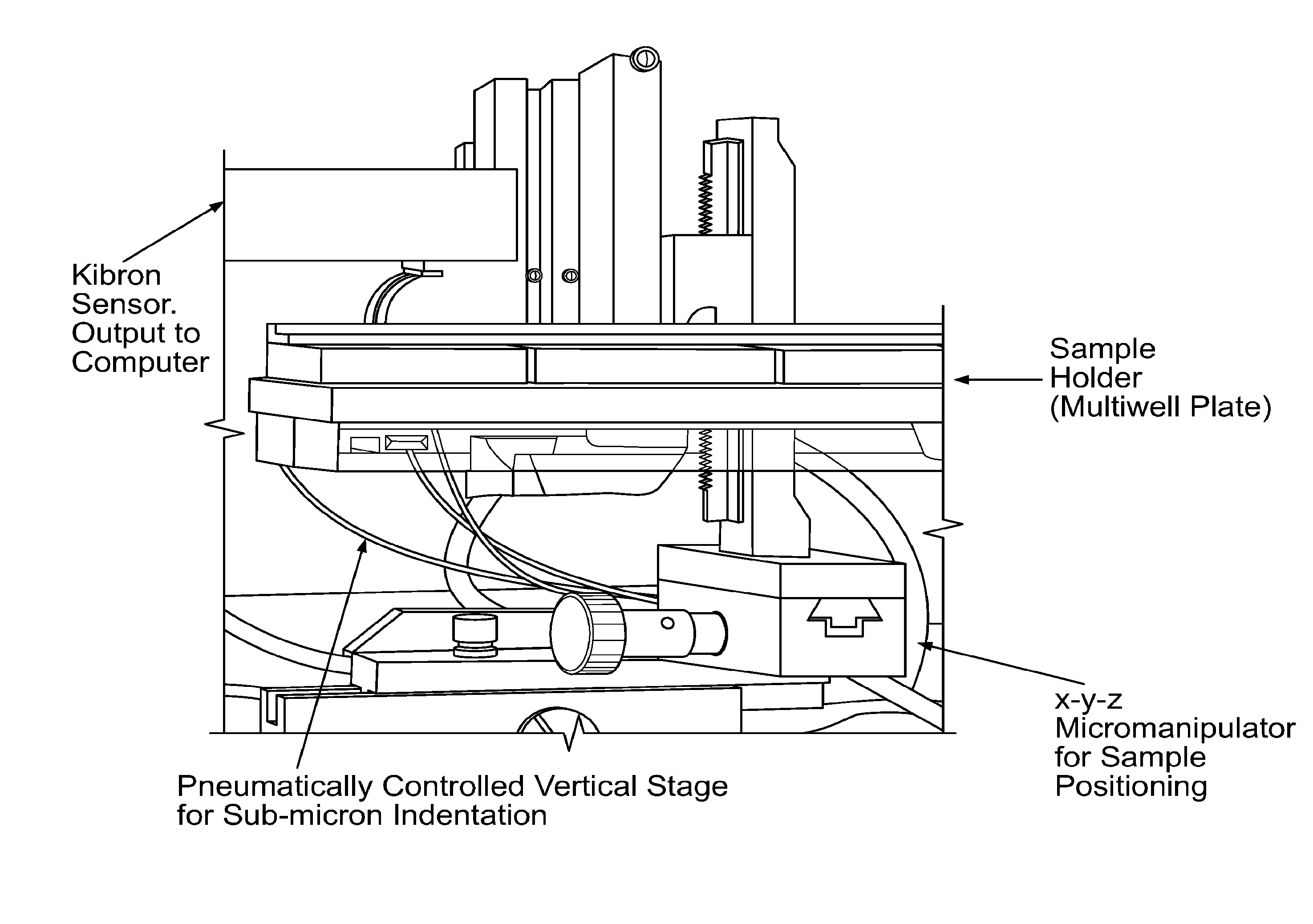 Device for measuring tissue stiffness