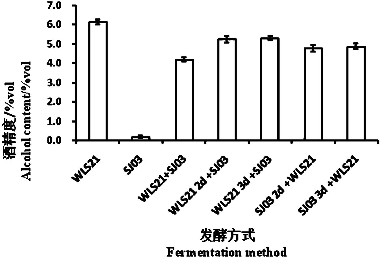 Preparation method of low-alcohol sparging apple wine and low-alcohol sparging apple wine