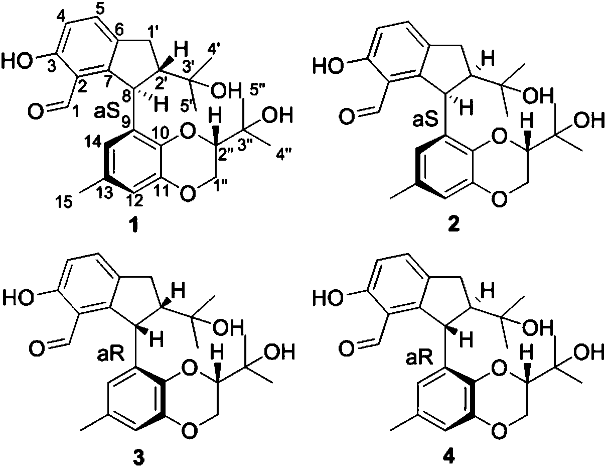 Excoecaria agallocha endophytic fungus sourced indene derivative, and applications thereof in preparation of anti-inflammatory drugs