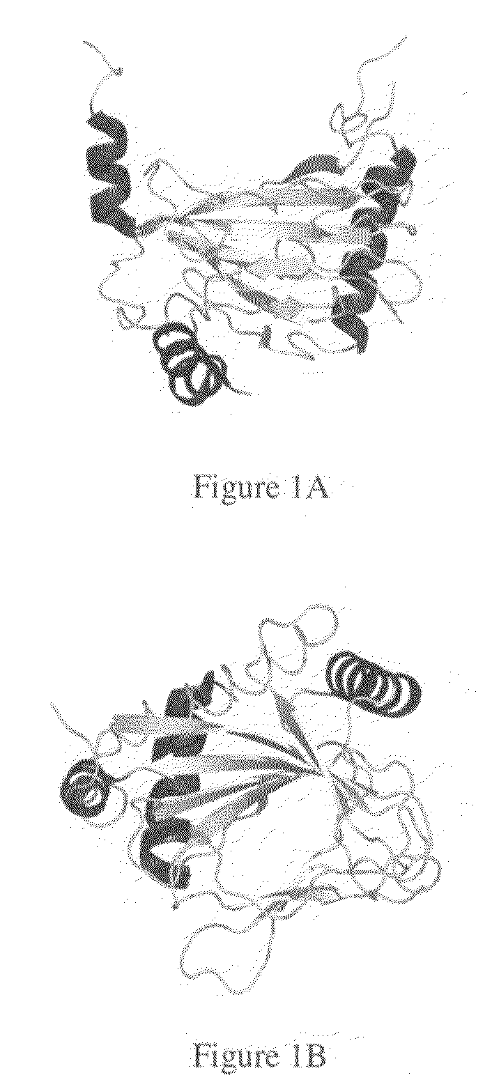 Crystal of hypoxia inducible factor 1 alpha prolyl hydroxylase