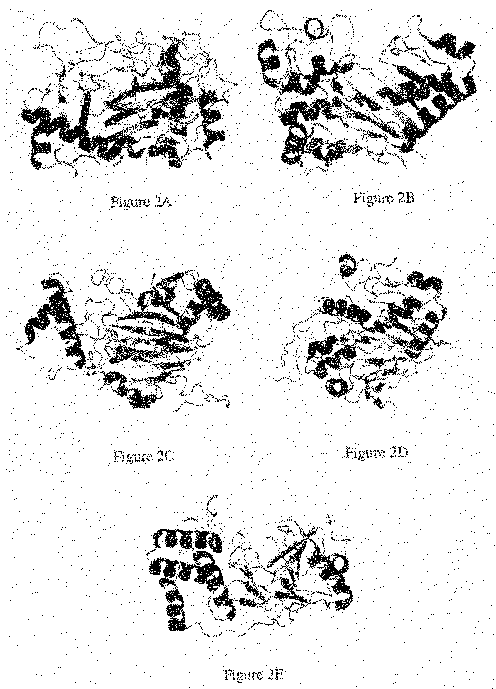 Crystal of hypoxia inducible factor 1 alpha prolyl hydroxylase