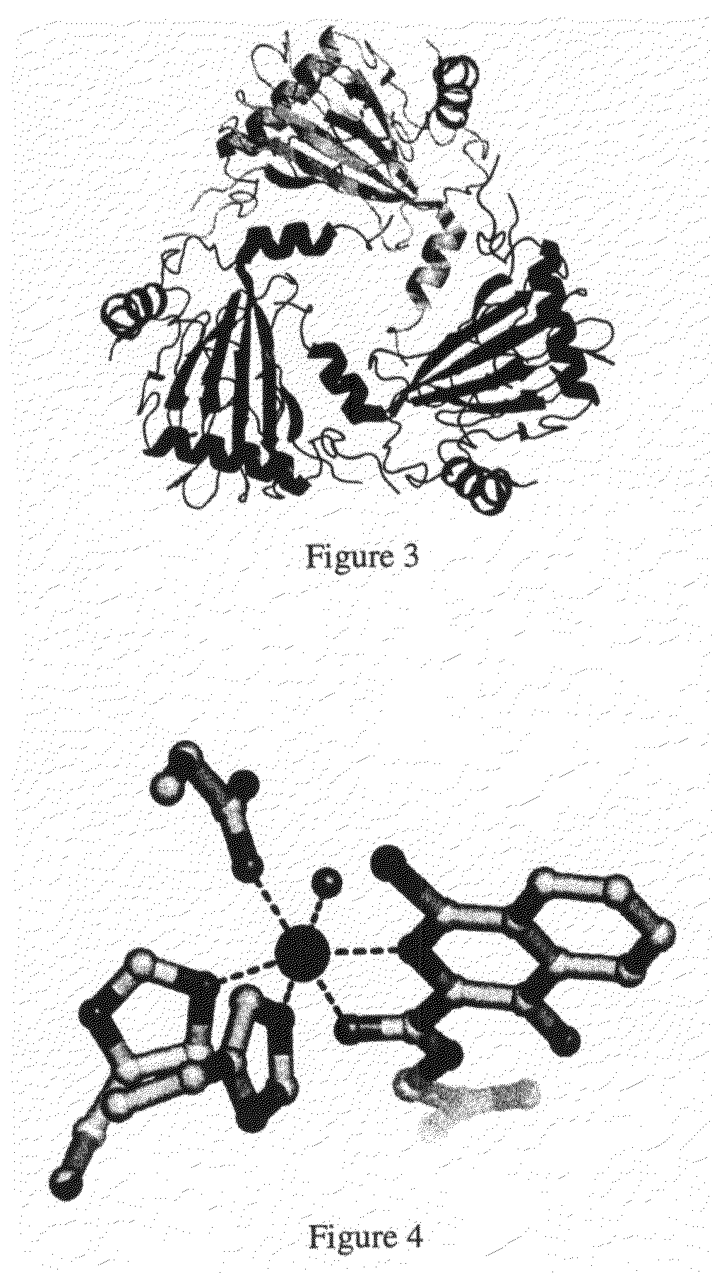 Crystal of hypoxia inducible factor 1 alpha prolyl hydroxylase