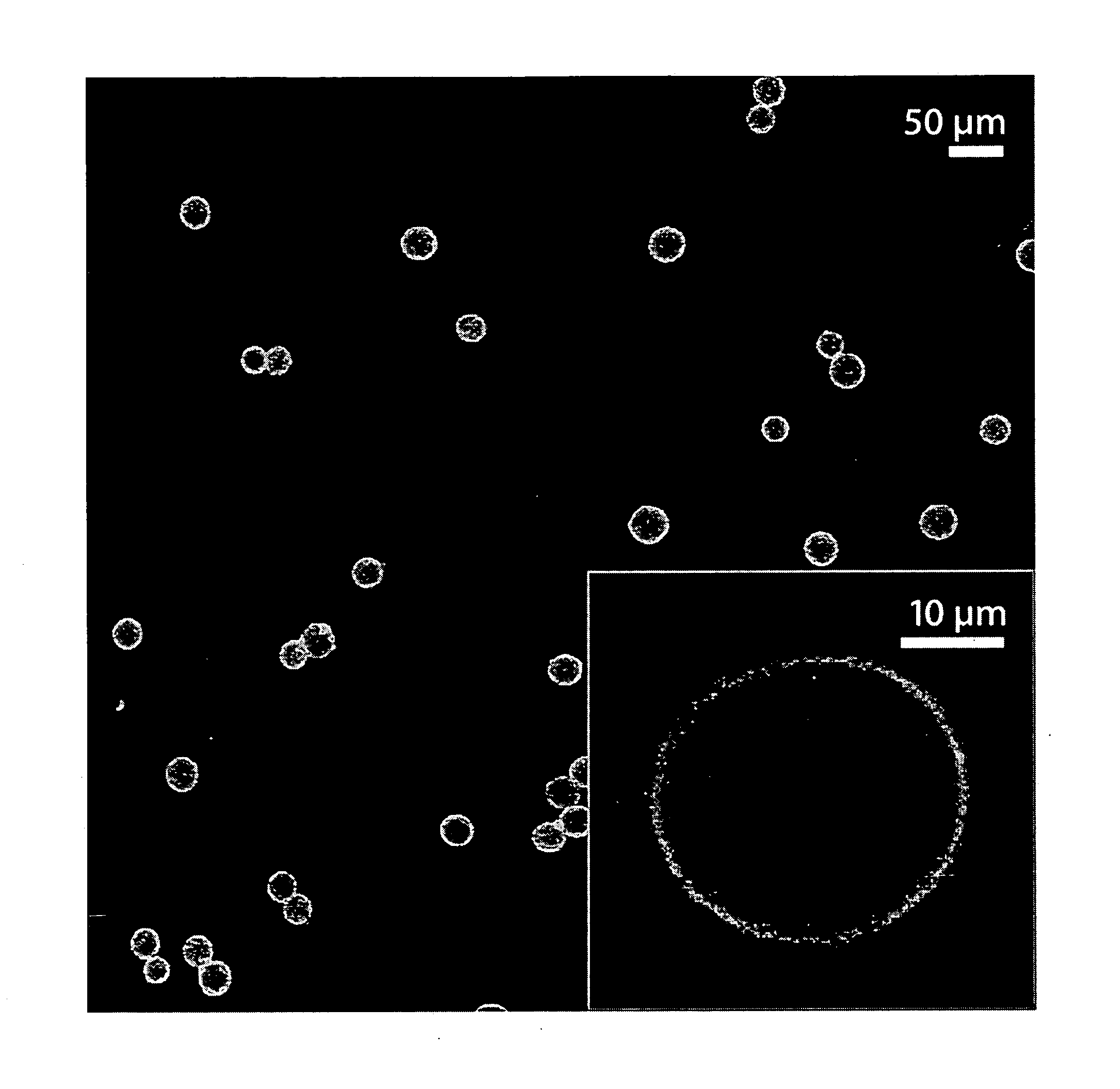 Initiated chemical vapor deposition of vinyl polymers for the encapsulation of particles