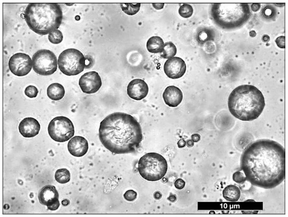 Preparation method of alkyl ketene dimer papermaking sizing agent and product