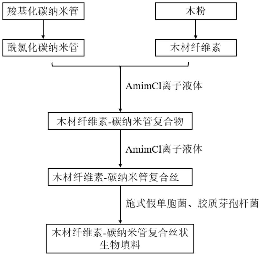 Wood cellulose-carbon nanotube composite filamentous biological filler for treating micro-polluted water source and preparation method of wood cellulose-carbon nanotube composite filamentous biological filler