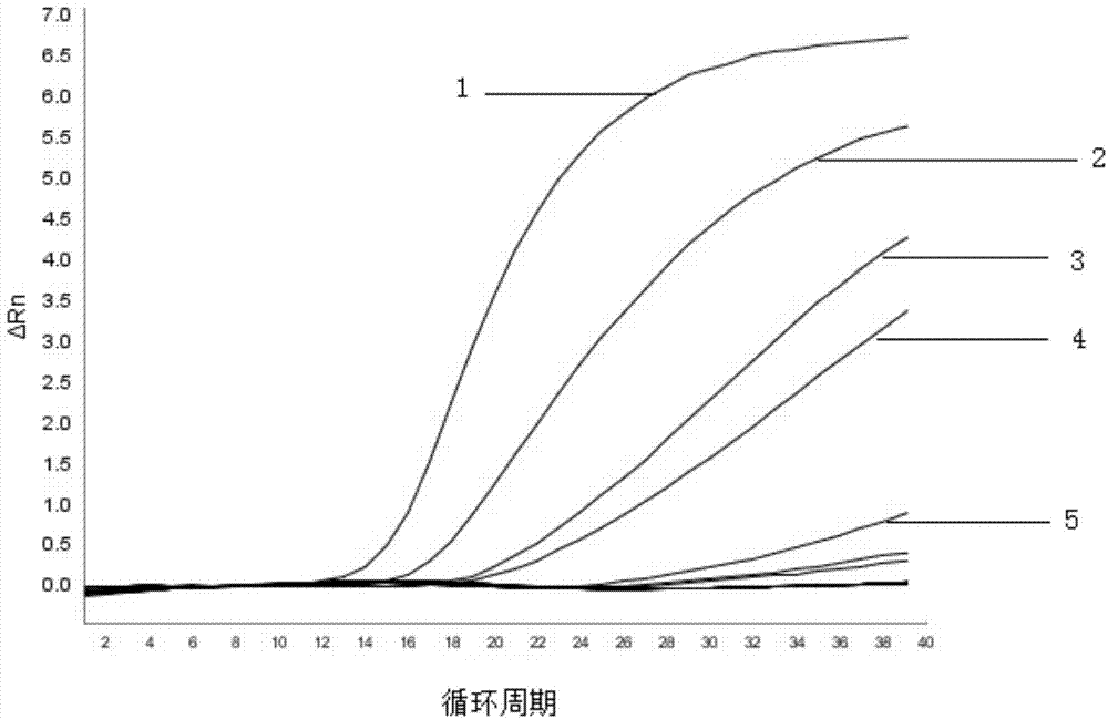 Method, primer pair, target probe, internal standard probe and kit for detecting Cronobacter sakazakii