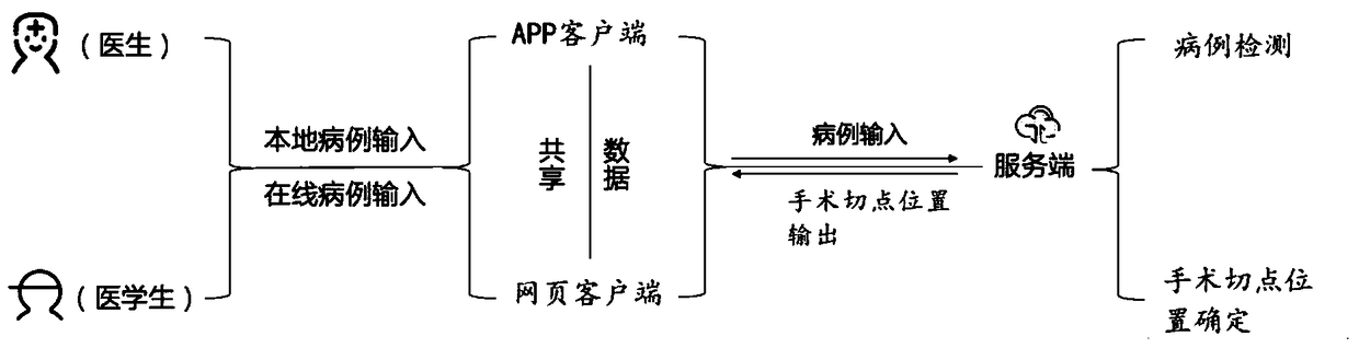 Clinic auxiliary system for cleft lip operation