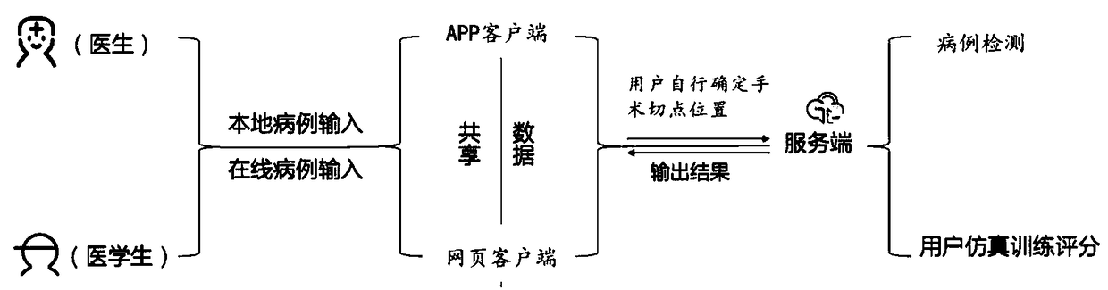 Clinic auxiliary system for cleft lip operation