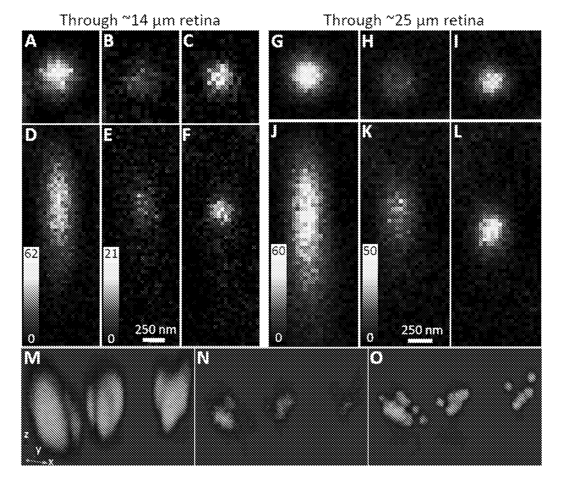 Stimulated emission depletion microscopy