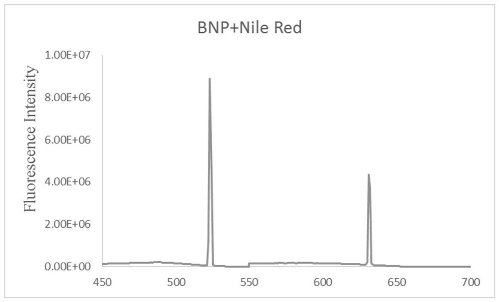 A kind of pH fluorescent dye, pH fluorescent probe, preparation method and application