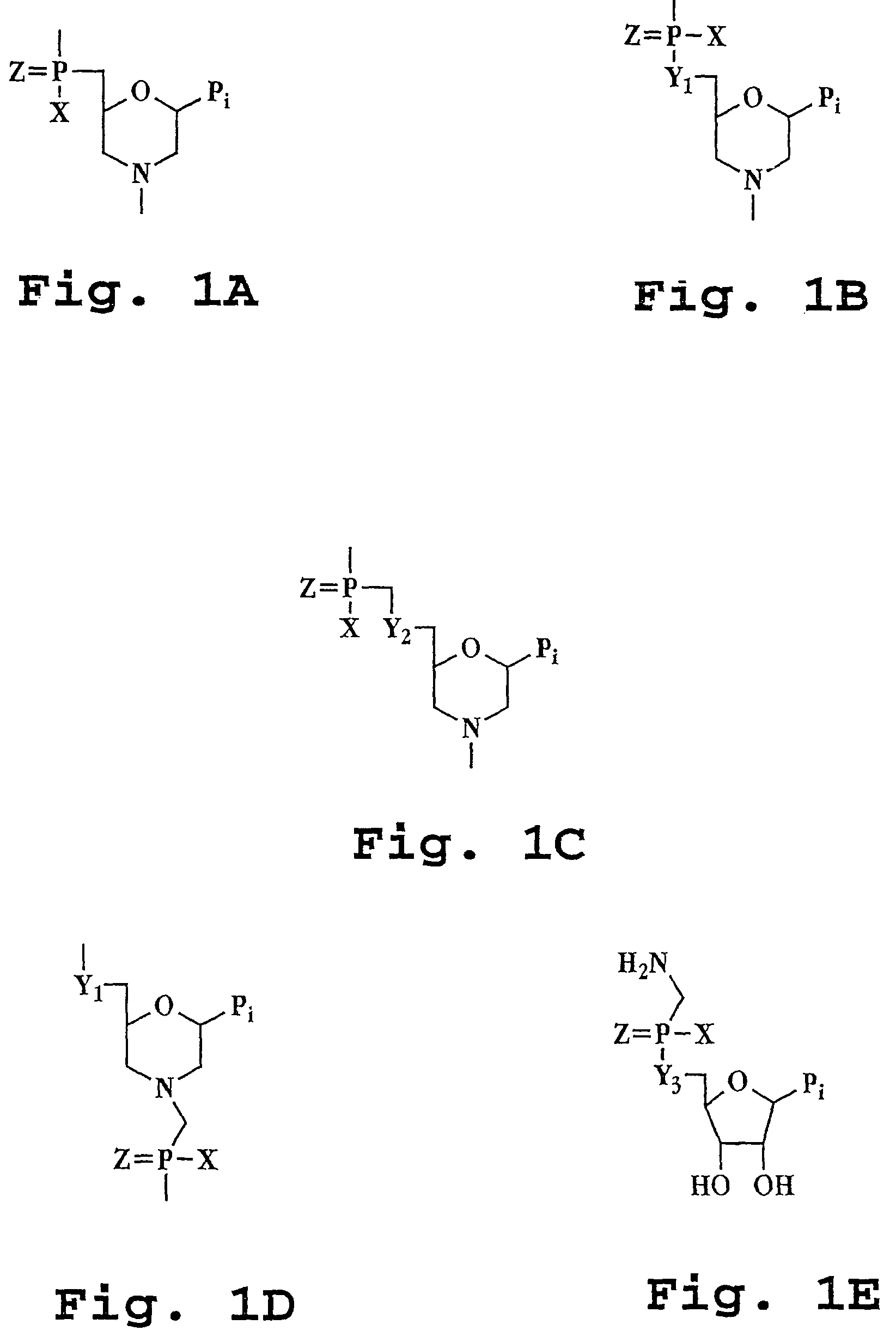 Splice-region antisense composition and method