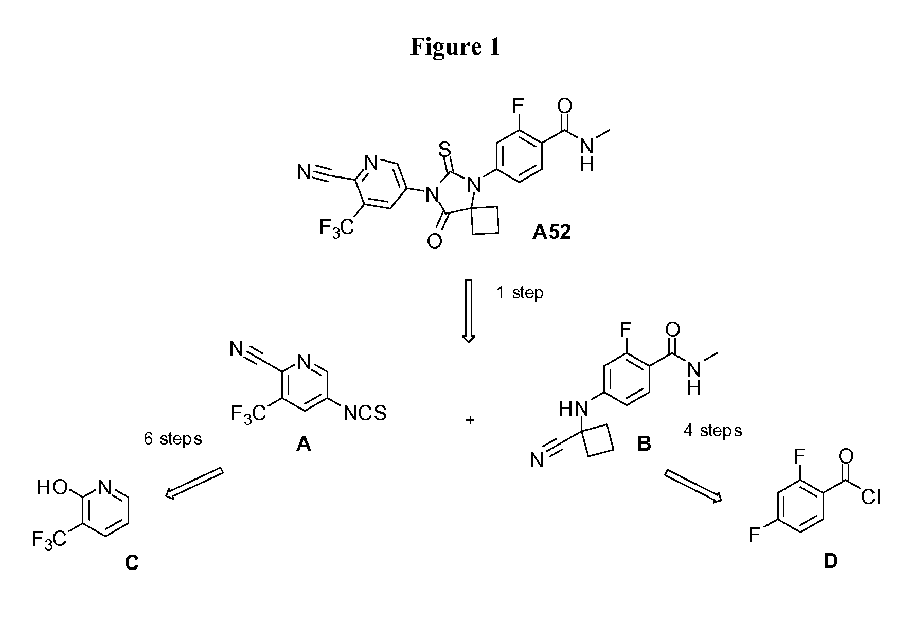 Synthesis of thiohydantoins