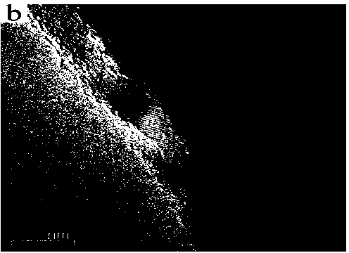 Technology for coating ZrO2/Fe2O3 composite film on surface of diamond by sol-gel method