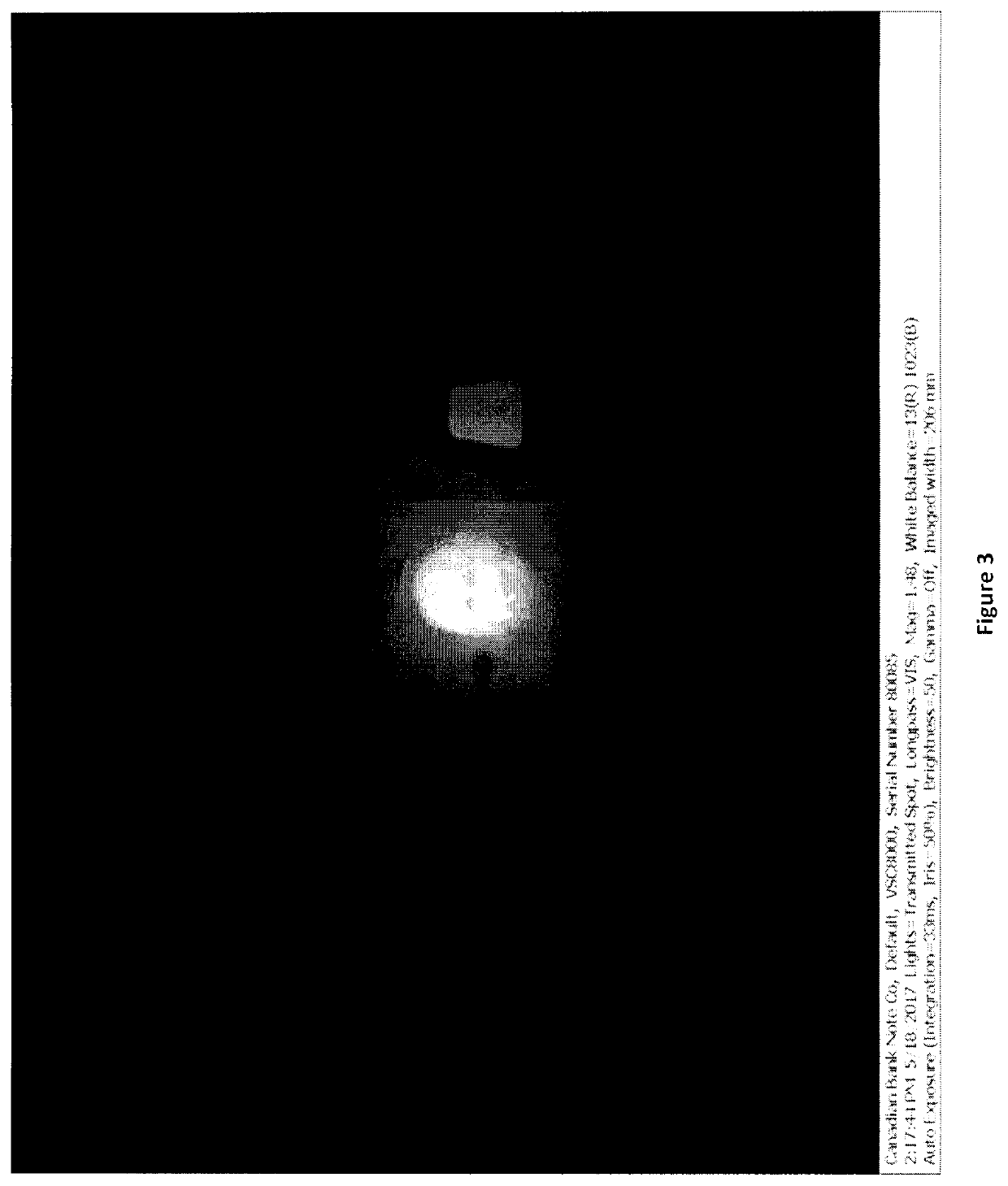 Method for making window, embedded watermark and other integrated security features in a thermoplastic security document