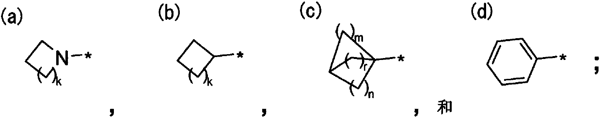 Nk1 receptor antagonist