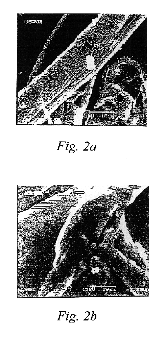 Alginate gel based adsorbents for heavy metal removal