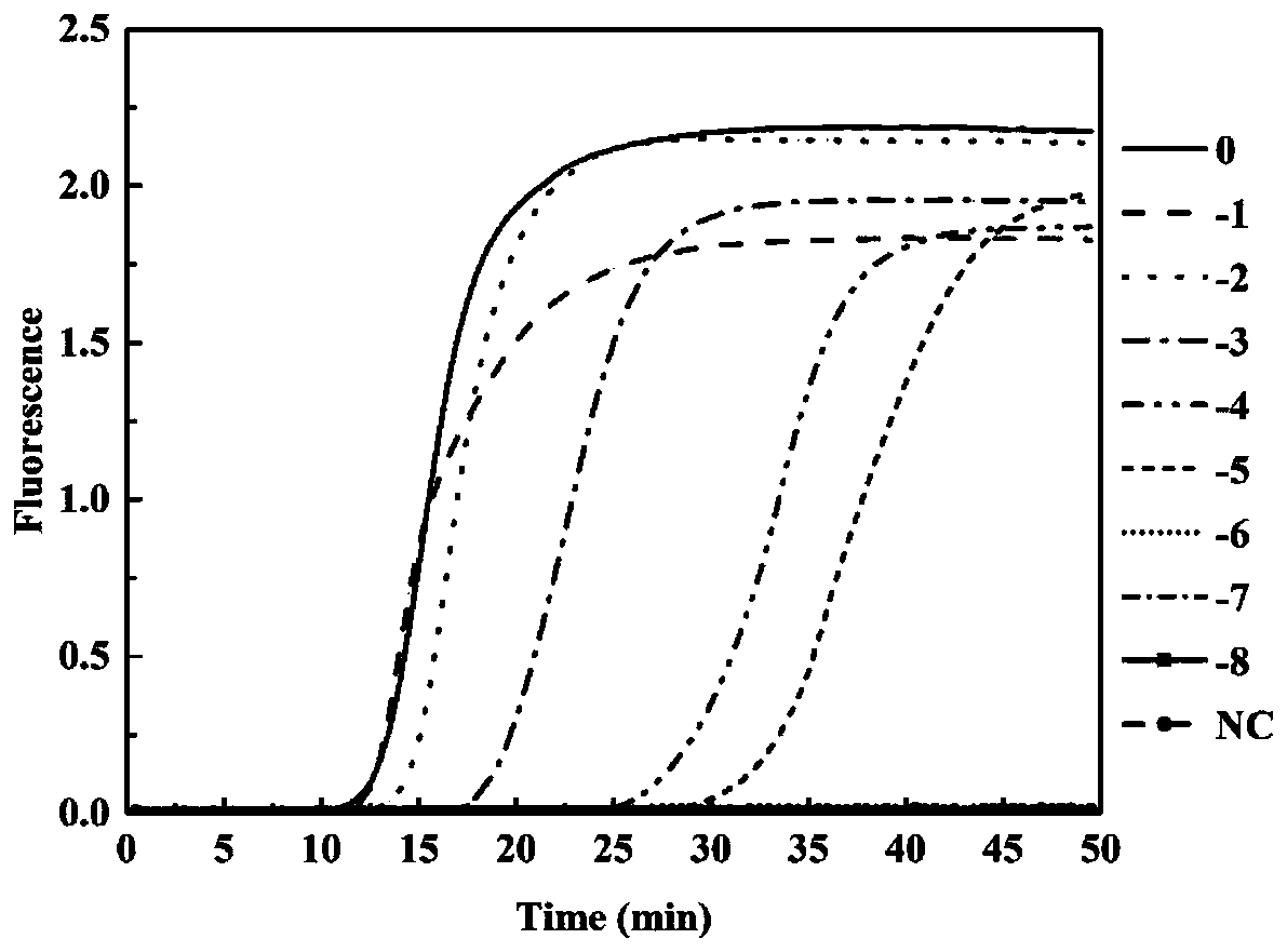 Primer for detecting sulfate reducing bacteria in jet fuel, application and detection method