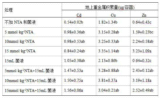 Method of intensifying festuca arundinacea to repair heavy metals in soil in sewage irrigation area by NTA (Nitrilotriacetic Acid) and microbial agent