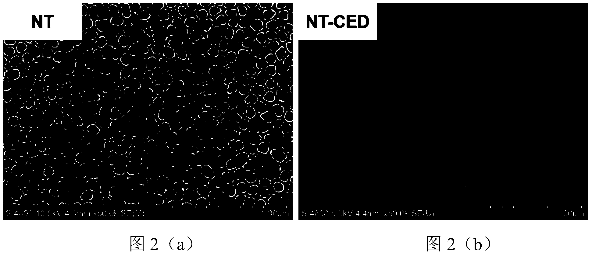 Method for implanting functional biological coating on surface of implant