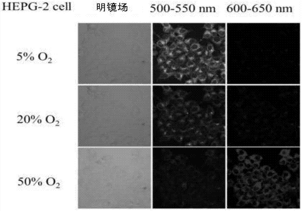 Ionic type iridium complex with double phosphorescence emission properties as well as preparation method and application of ionic type iridium complex