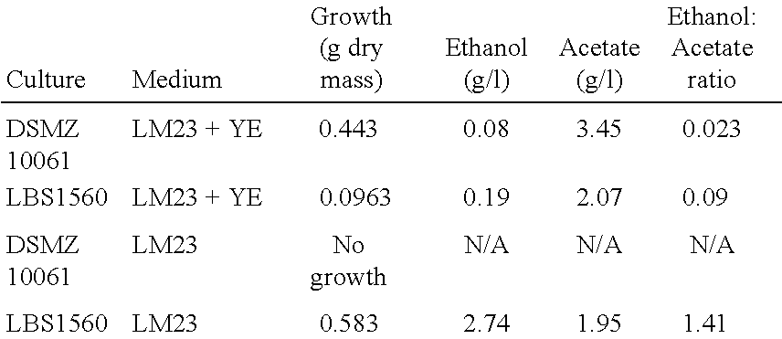 Bacteria and methods of use thereof