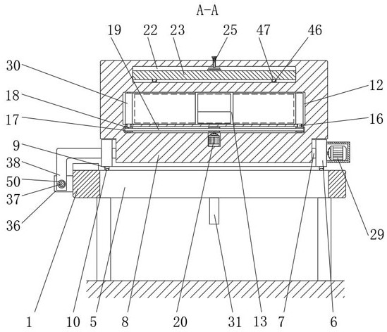 Radiation protection device and method for Internet-based medical radiation diagnosis and treatment