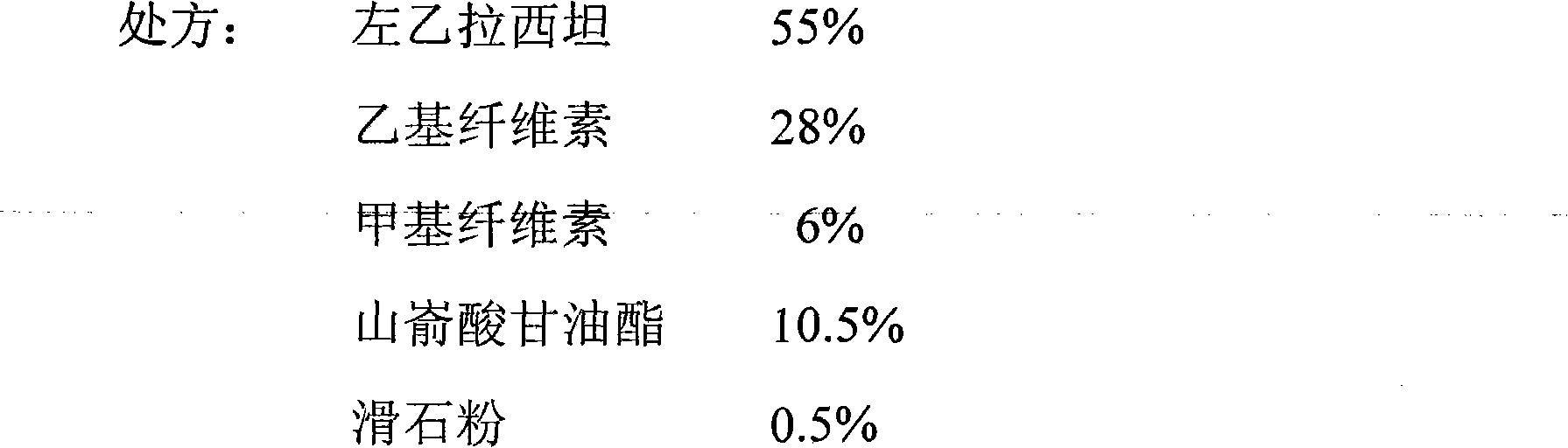 Levetiracetam slow release medicinal composition and preparation method thereof