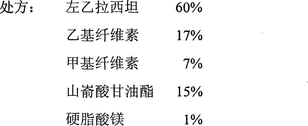 Levetiracetam slow release medicinal composition and preparation method thereof