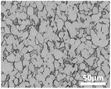 Functional gradient titanium alloy strip and preparation method thereof