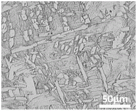 Functional gradient titanium alloy strip and preparation method thereof